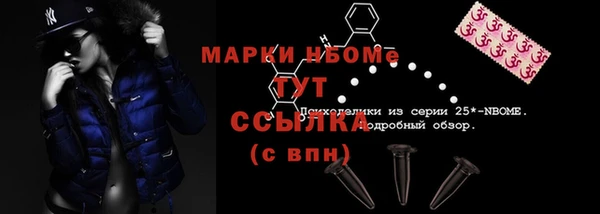 индика Алексин