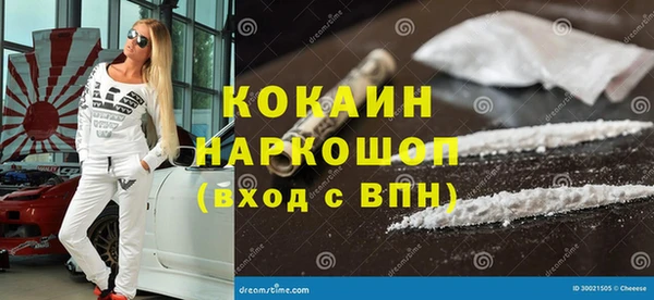 индика Алексин
