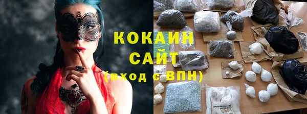 индика Алексин
