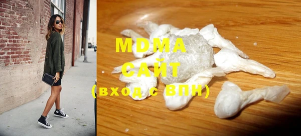индика Алексин