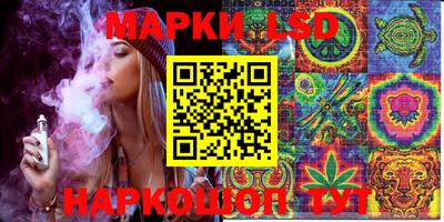 шишки Лесосибирск