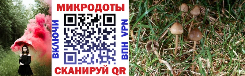 Псилоцибиновые грибы MAGIC MUSHROOMS  блэк спрут маркетплейс  Качканар 