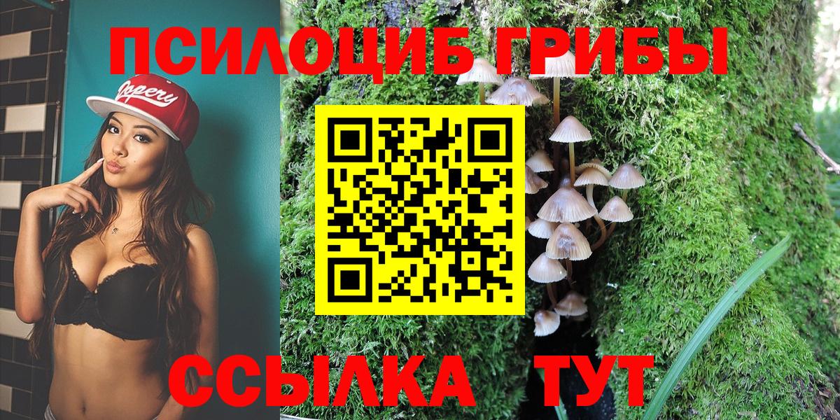 Галлюциногенные грибы Cubensis  Псилоцибиновые грибы прущие грибы  купить наркотик  Вход с VPN  Качканар 