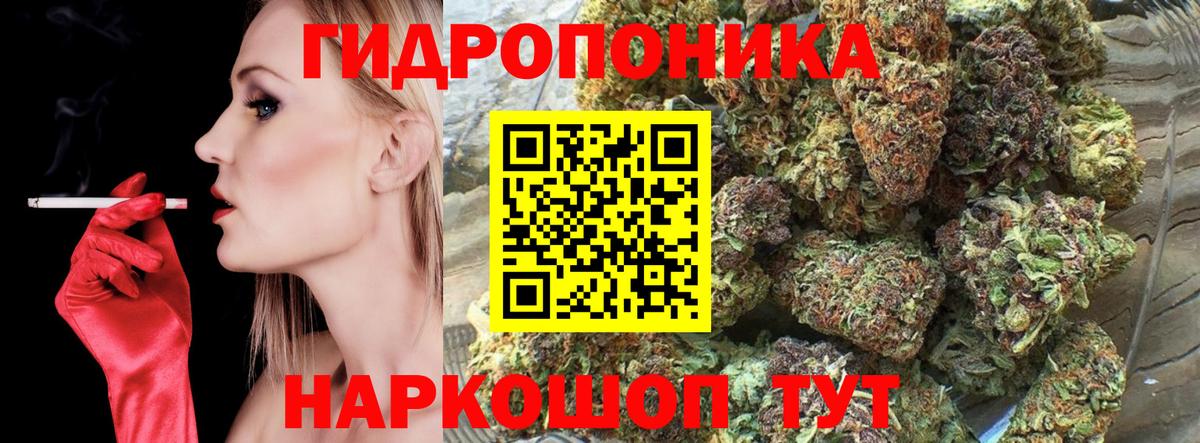 Каннабис конопля Качканар
